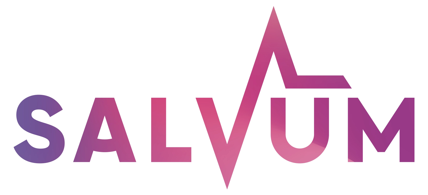 logo salvum