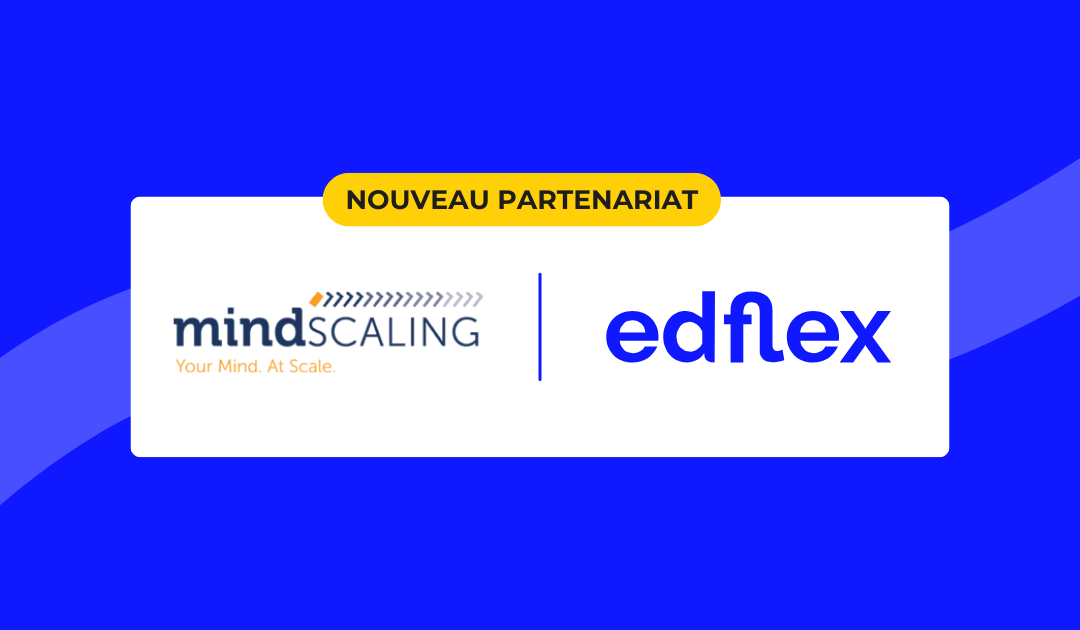 Compétences leadership Mindscaling
